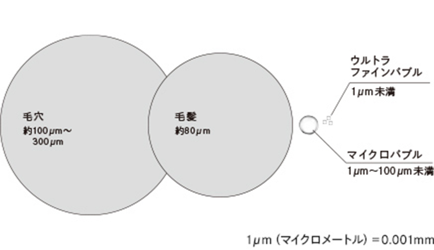 イメージ画像